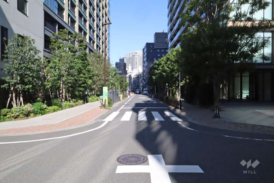 敷地西側の前面道路(南側から)