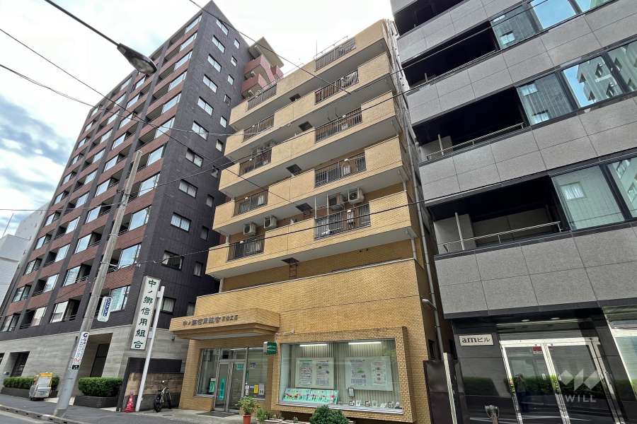 ライオンズマンション新富町の外観（北西側から）