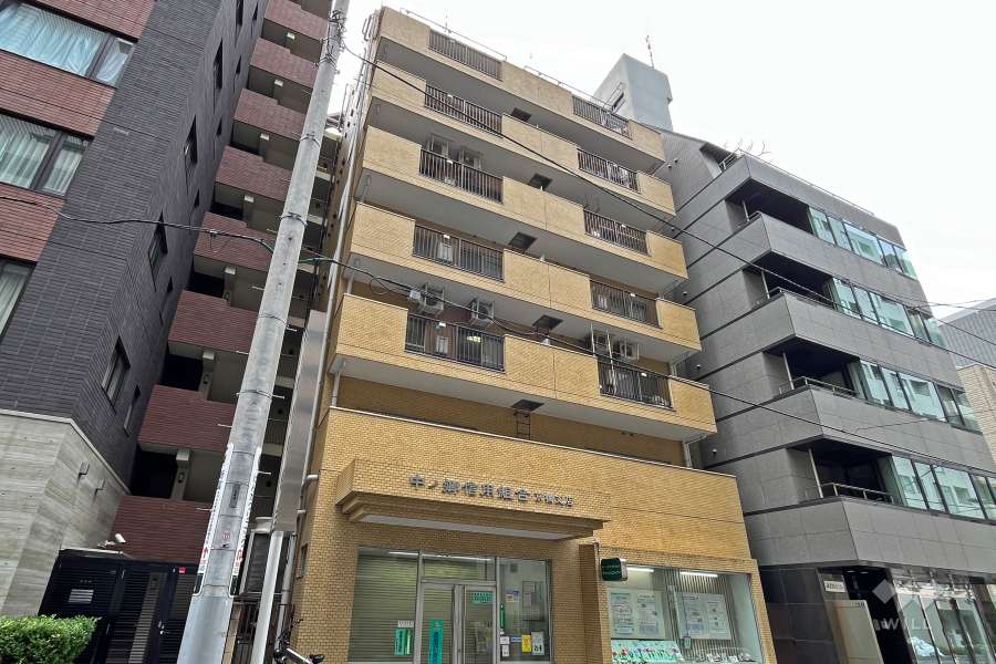 ライオンズマンション新富町の外観（北東側から）