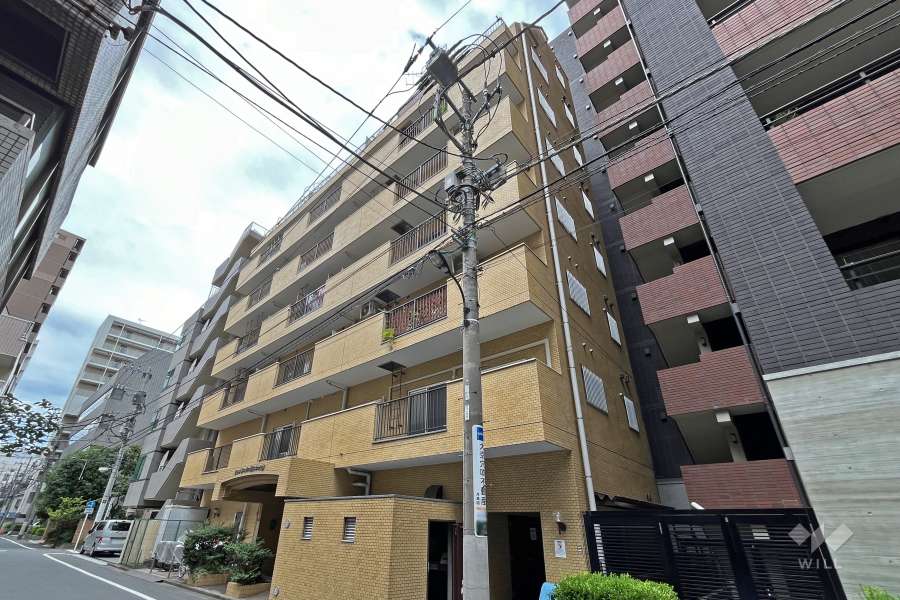 ライオンズマンション新富町の外観（南東側から）