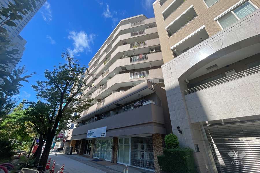 シャルマン築地明石町の外観（北東側から）