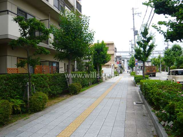 敷地東側の前面道路には歩道があります。