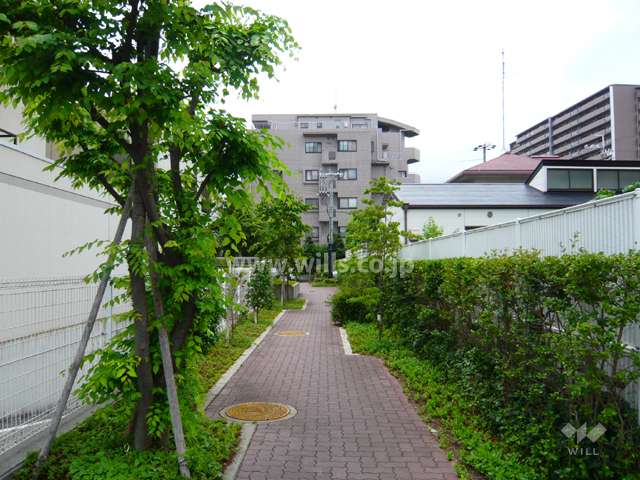 共用部分は植栽が緑豊かです。