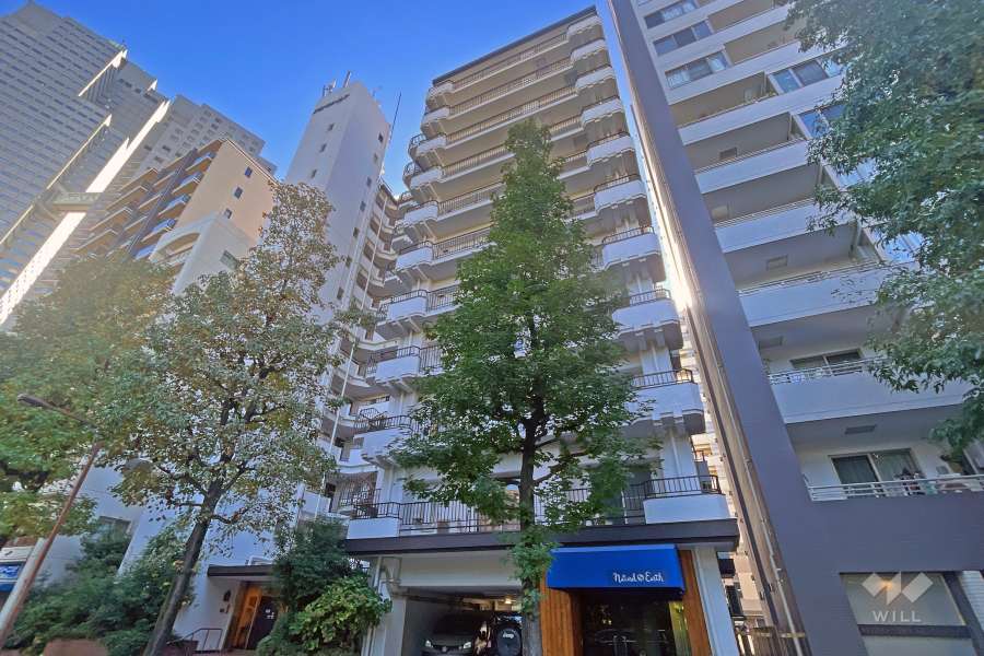 明石町アビタシオンの外観（西側から）