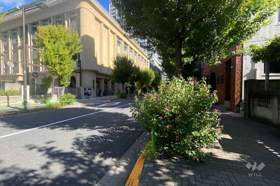 敷地西側の前面道路