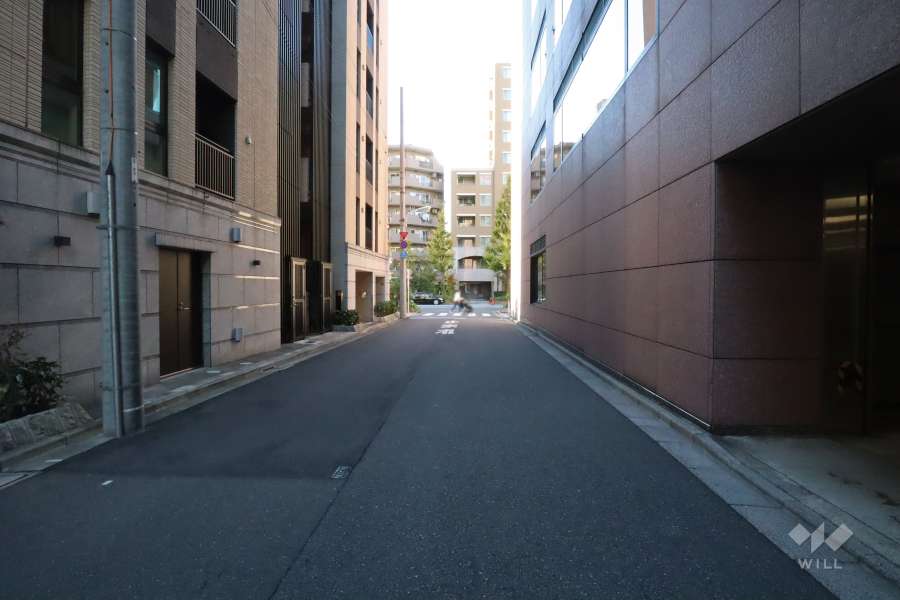 敷地北側の前面道路(東側から)