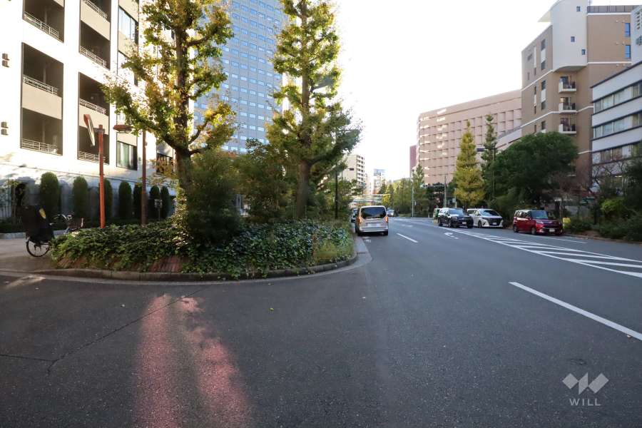 敷地西側の前面道路(北側から)