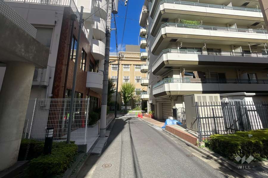 敷地の南側前面道路（東側から）