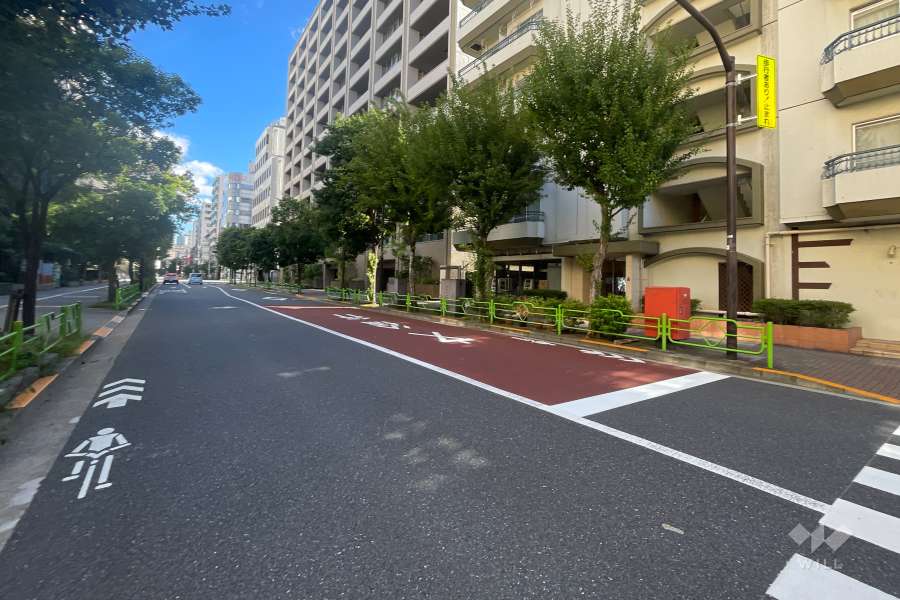 敷地の西側前面道路（南側から）