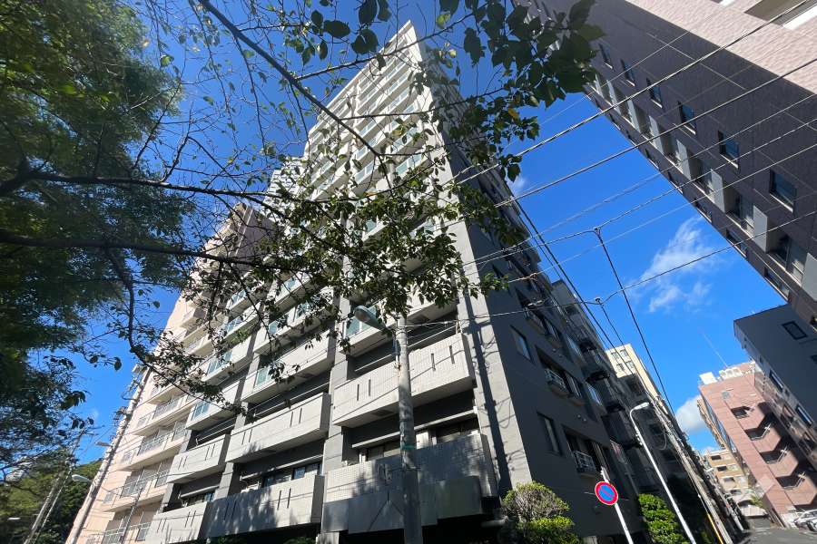 マイキャッスルリバーフロントタワー銀座東の外観（北東側から）