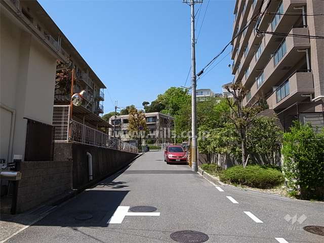 敷地南側の前面道路。敷地の周囲に植栽スペースが設けられています。