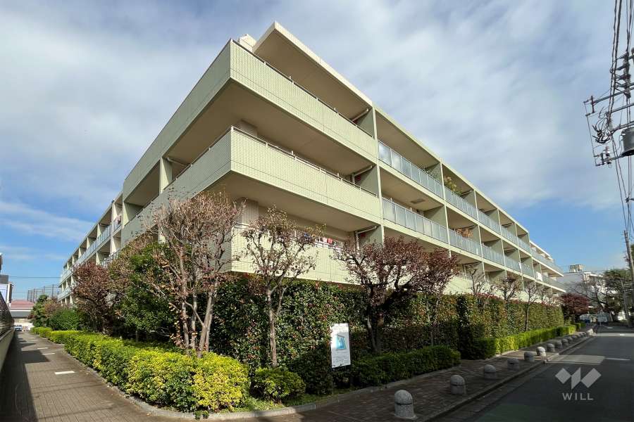 ディアプレイス中野野方の外観（南西側から）