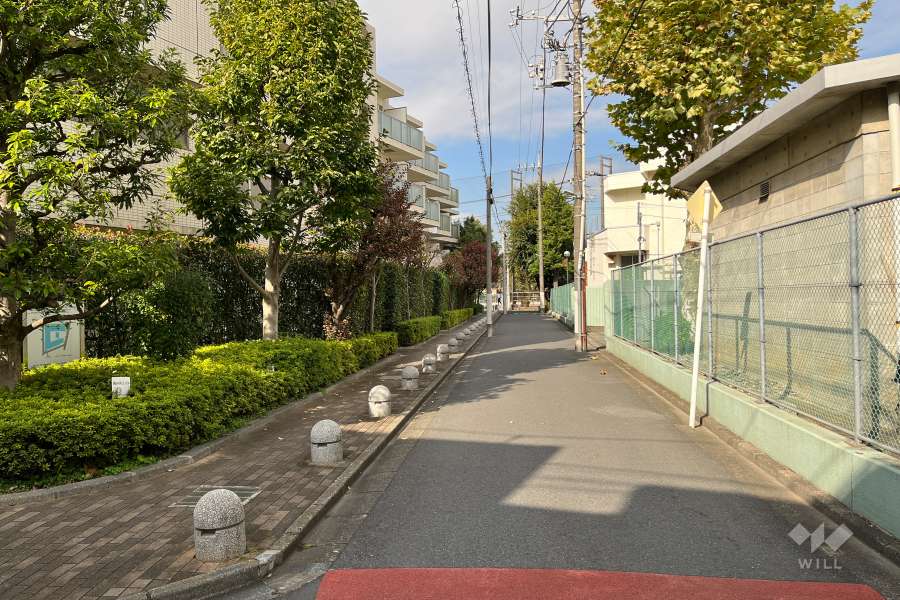 敷地の東側前面道路（南側から）