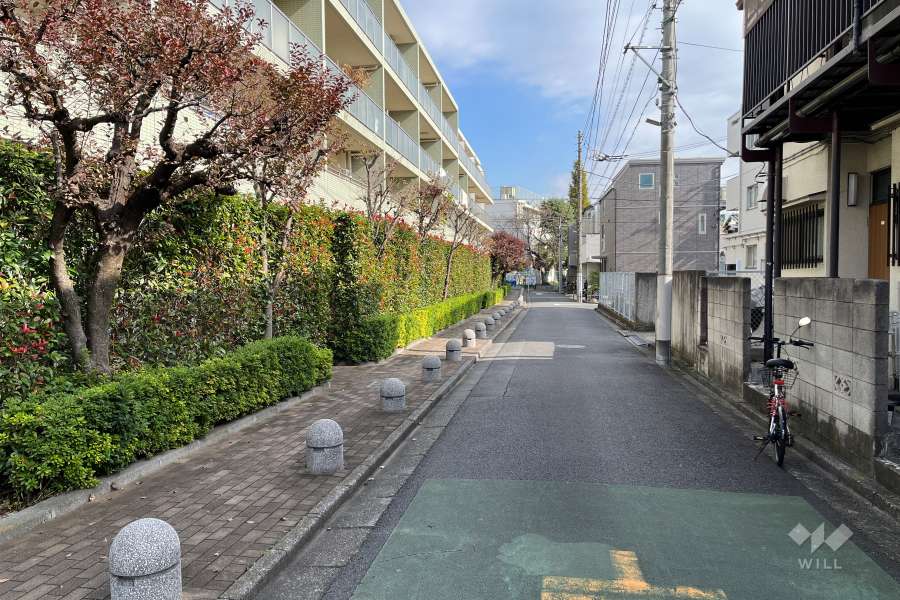 敷地の南側前面道路（西側から）