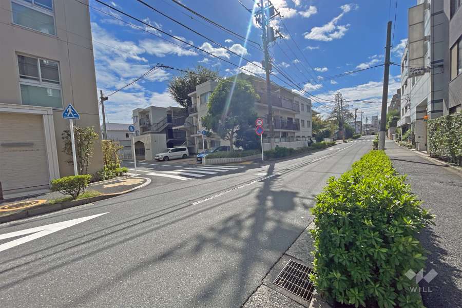 敷地の東側前面道路（北側から）