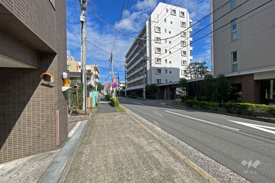 敷地の東側前面道路（南側から）