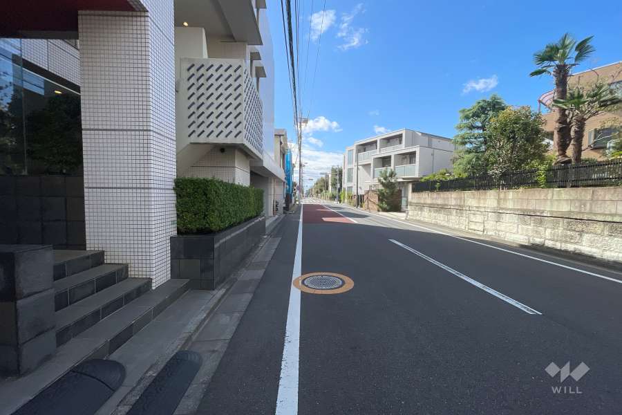敷地西側の前面道路（北側から）