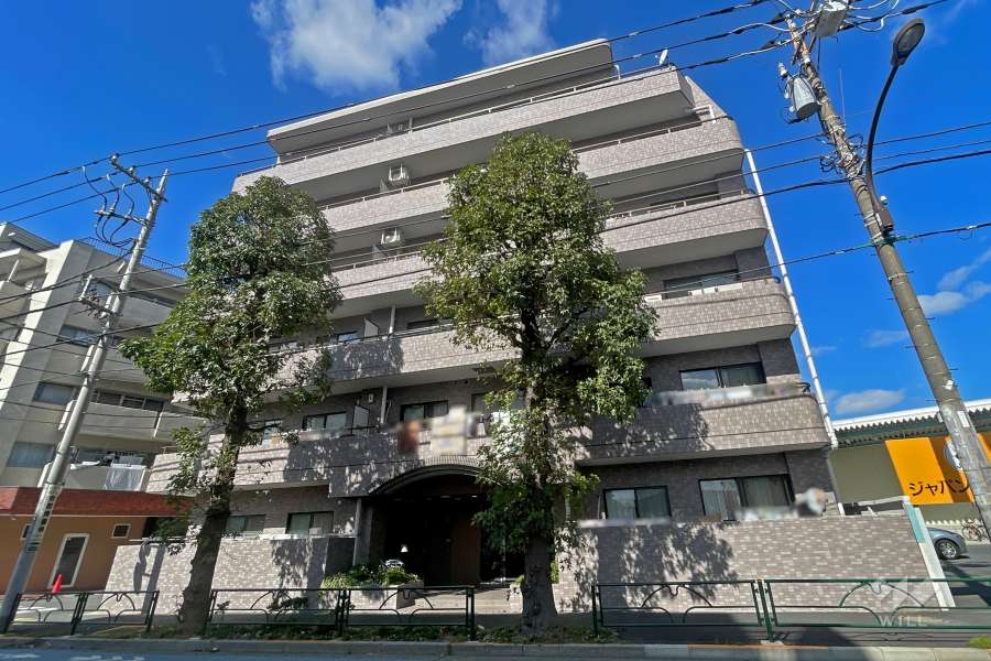 ドムール江古田の外観（南東側から）