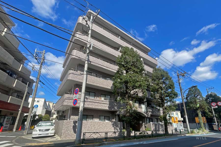ドムール江古田の外観（南西側から）