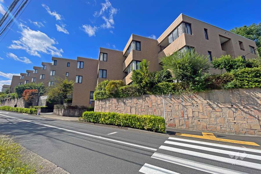 ベルテ中野江古田Ａウイングの外観（北東側から）