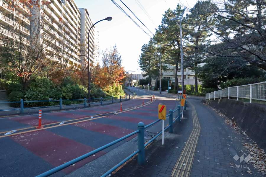 敷地西側の前面道路（北側から）