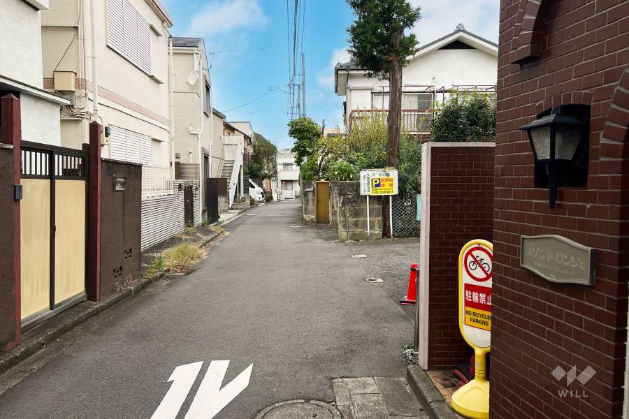 敷地の西側前面道路（南側から）
