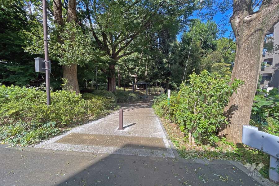 敷地に隣接した『中野北江古田公園』