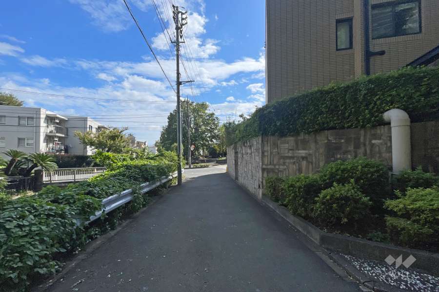 敷地の北側前面道路（西側から）