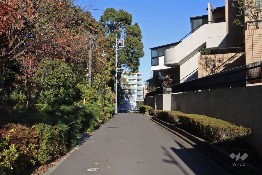 敷地北西側の前面道路(南西側から)