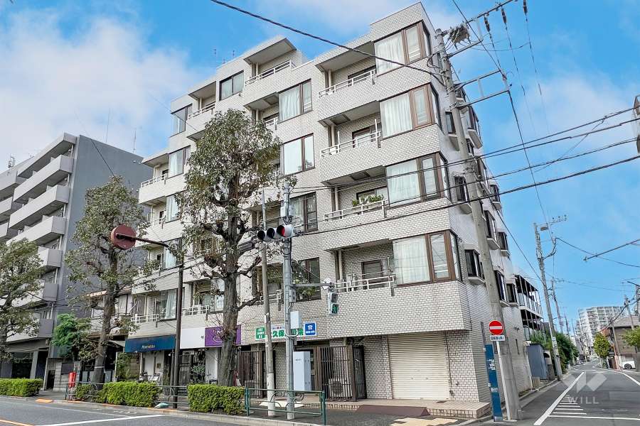 日神シルバーパレス鷺宮の外観（南東側から）