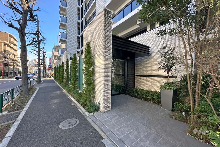 敷地北側の前面道路
