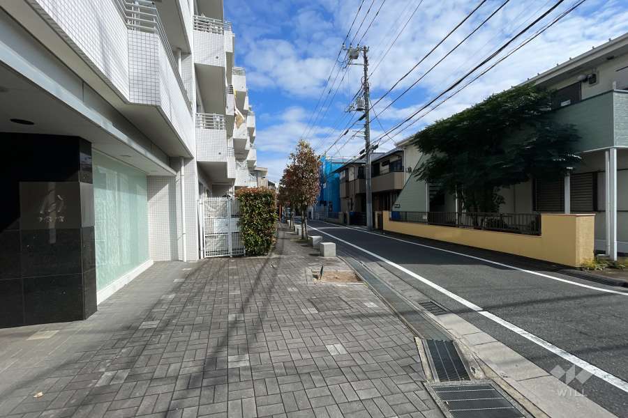 敷地の南側前面道路（西側から）