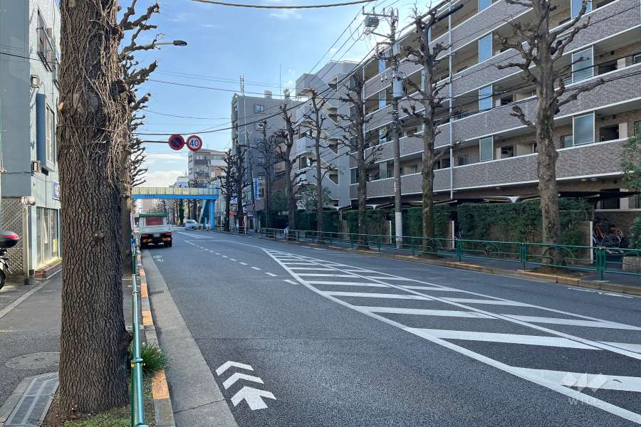 敷地北側の前面道路
