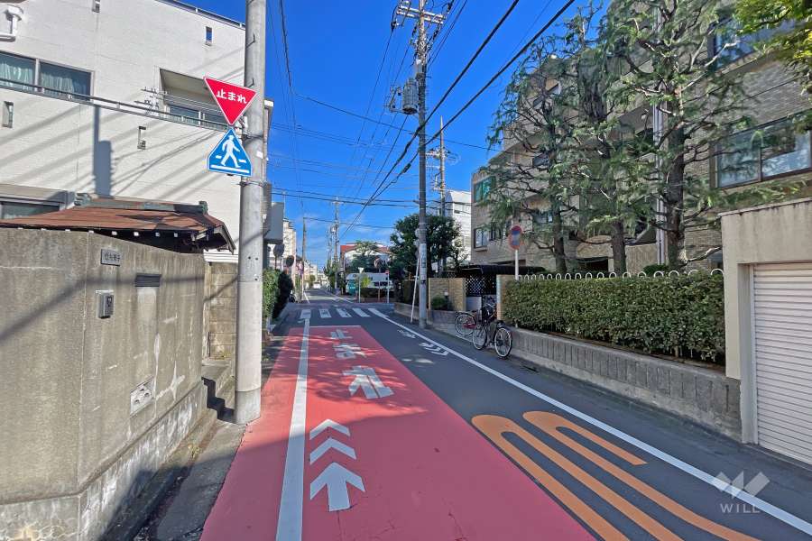 敷地の西側前面道路（南側から）