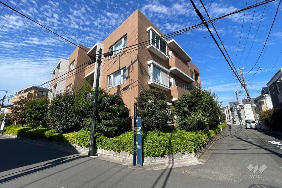 鷺宮ヒルズの外観（南東側から）