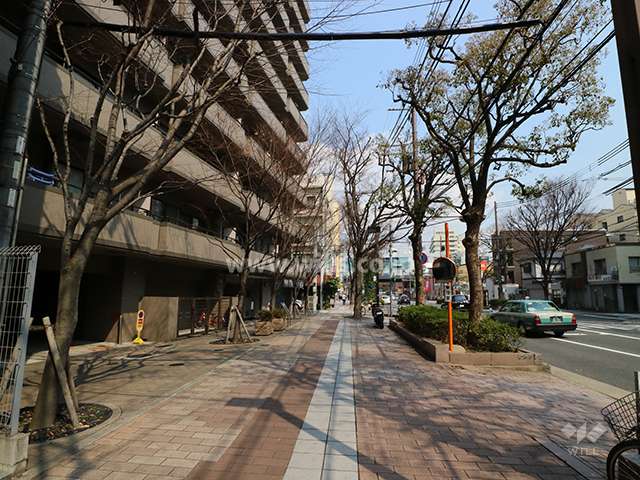 マンション敷地東側の前面道路