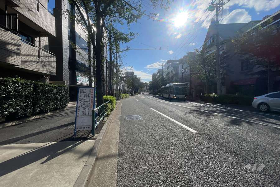 敷地の西側前面道路（北側から）