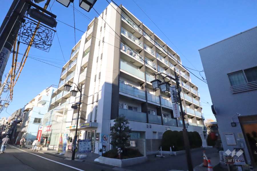 ダイナシティ中野沼袋の外観(南西側から)