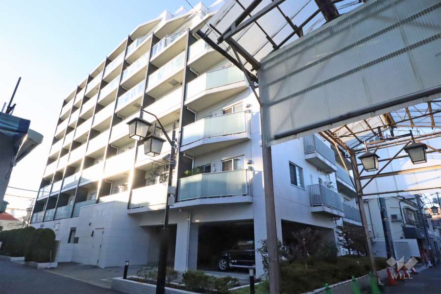 ダイナシティ中野沼袋の外観(南東側から)