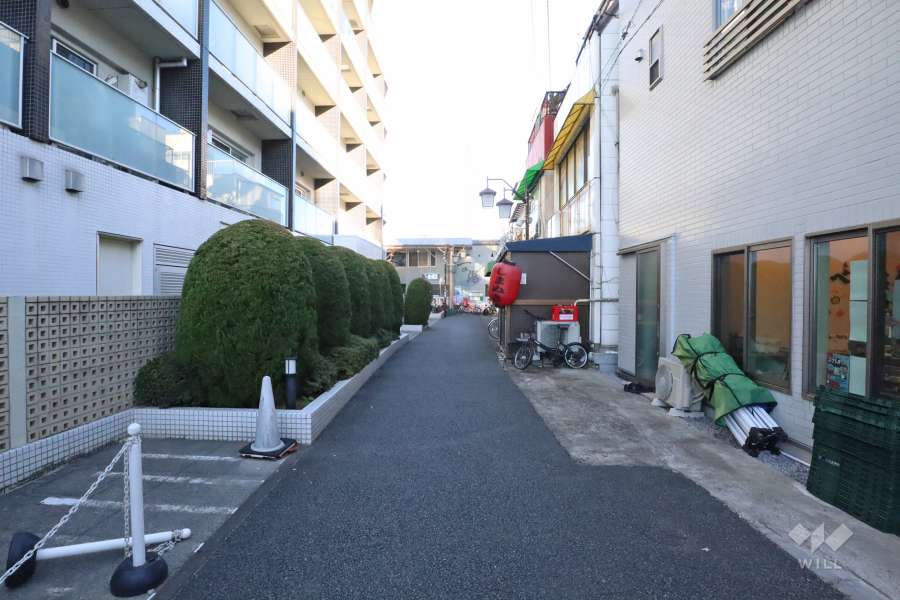 敷地南側の前面道路　