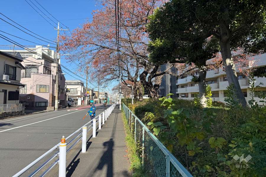 敷地西側の前面道路　