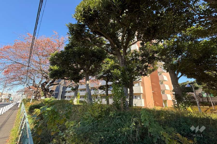 上高田４丁目団地１号棟の外観（南西側から）