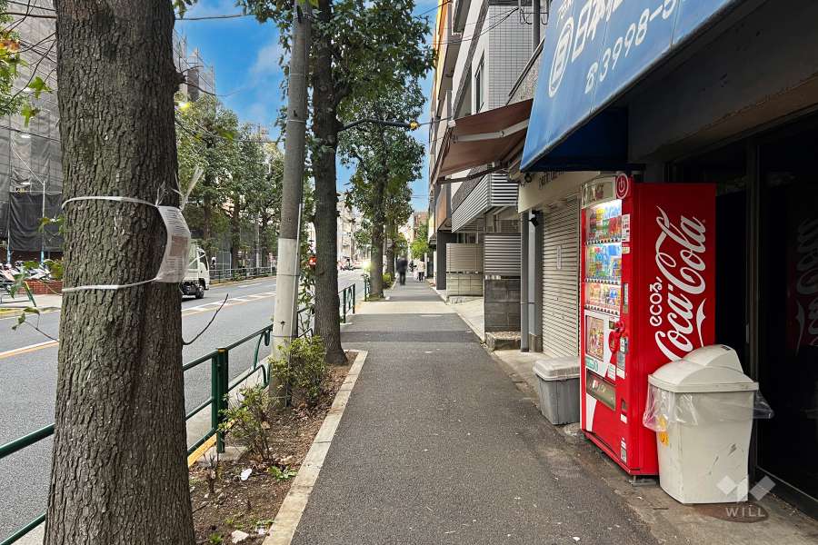 敷地南西側の前面道路（南東側から）