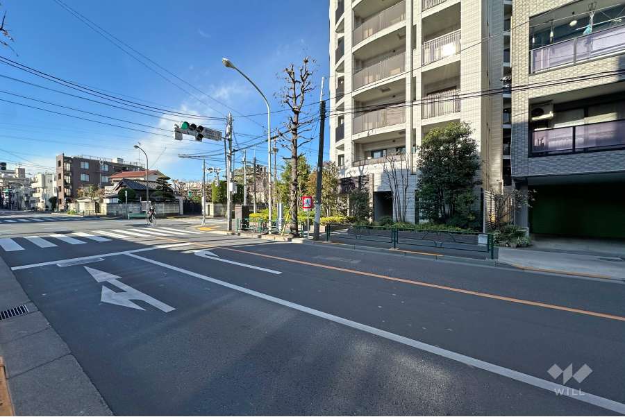 敷地の南側前面道路（東側から）