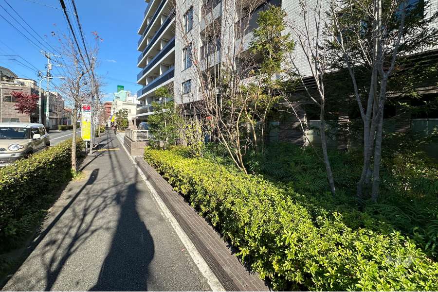 敷地の西側前面道路（南側から）