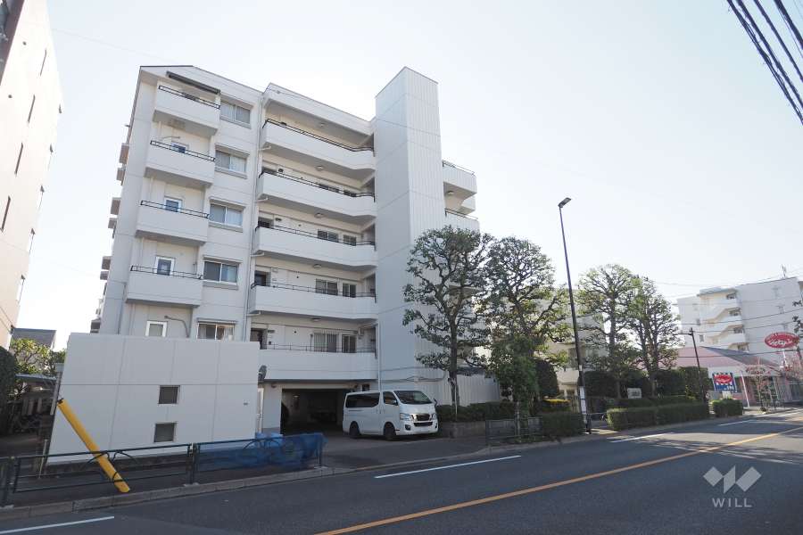 ハイツ上鷺宮の外観（北東側から）