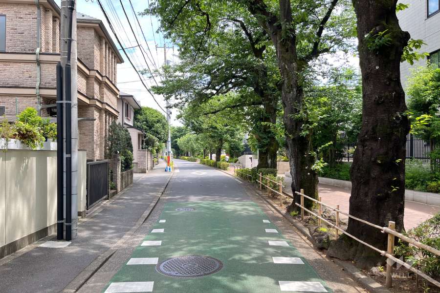 敷地の東側前面道路（北側から）