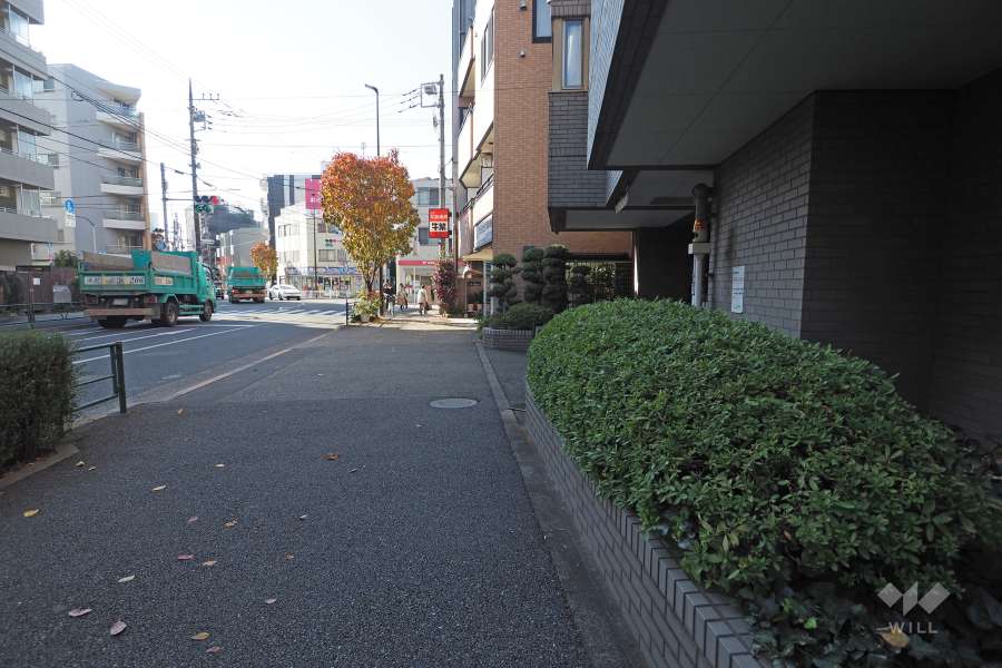 敷地南側の前面道路（西側から）