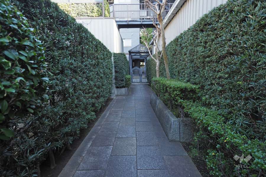 北側のエントランスアプローチ