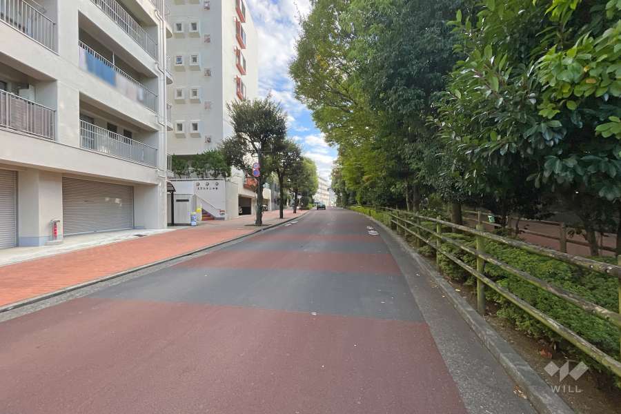 敷地西側の前面道路